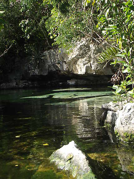 Cenote Azul près de Puerto Aventuras