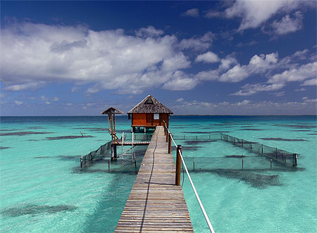 Ferme perlière dans les Tuamotu Ferme perlière dans les Tuamotu