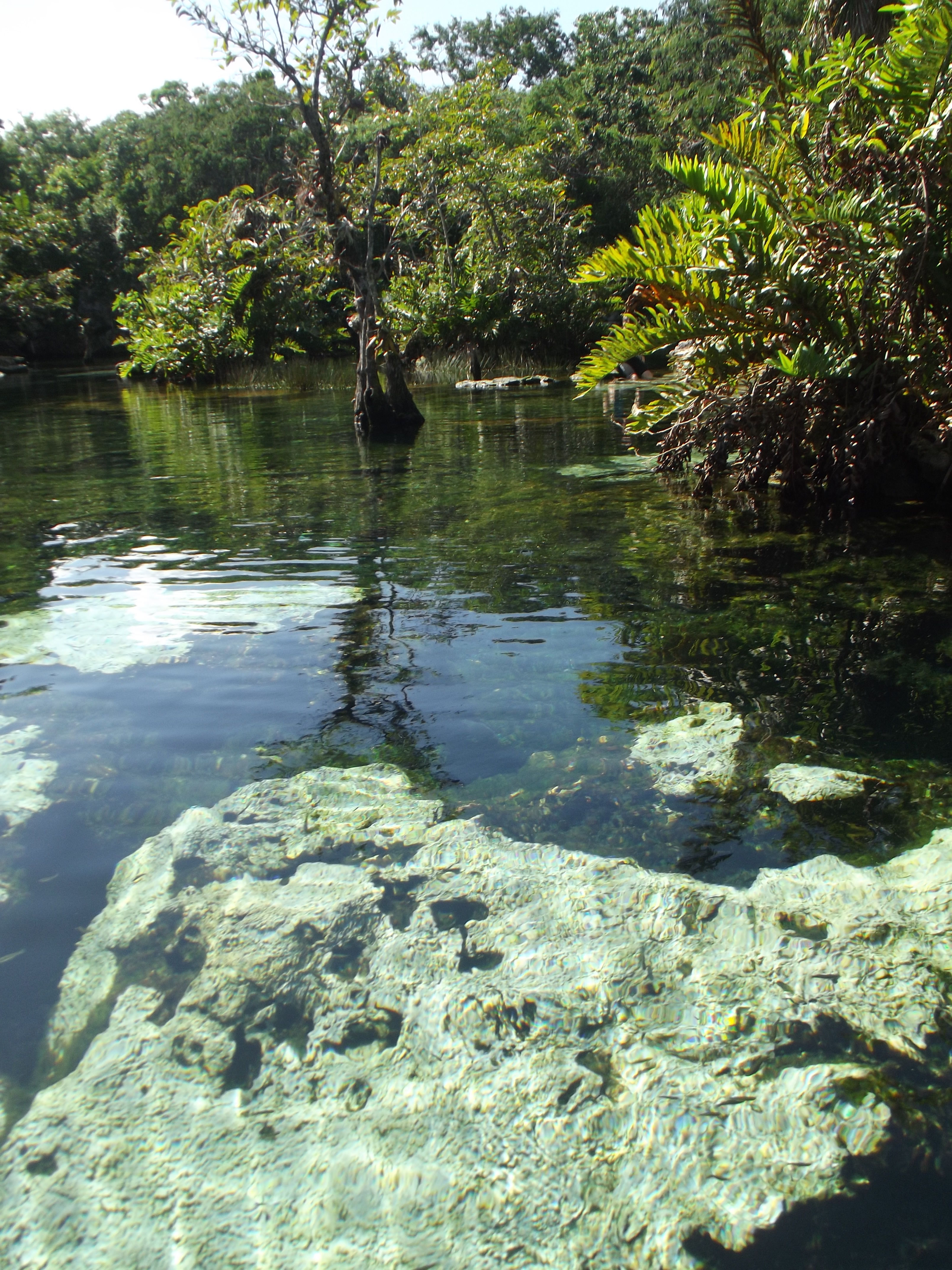 Le cristalin Cenote Azul