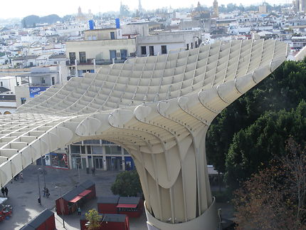 Parasol de Séville, métropole des parasols