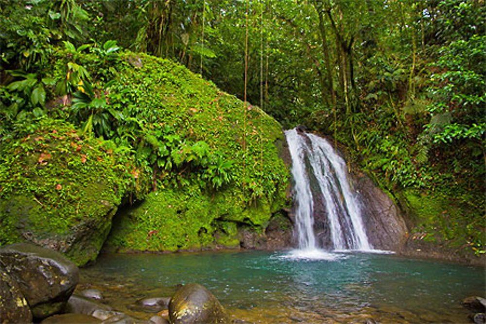 Cascade aux écrevisses