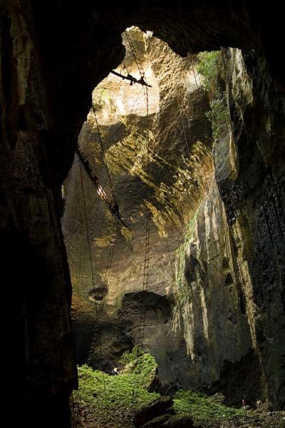 Gomantong Cave