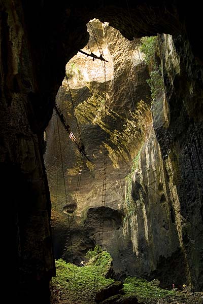 Gomantong Cave Gomantong Cave