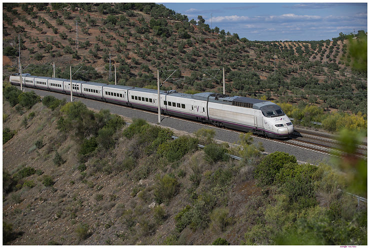 Train - La liaison à grande vitesse AVE Lyon-Barcelone désormais quotidienne