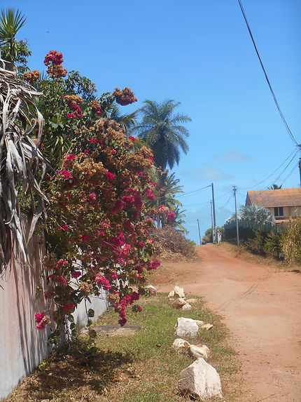 Route de la plage à Cayenne