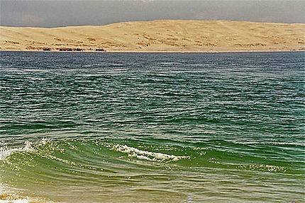 Dune de Pyla, côté océan