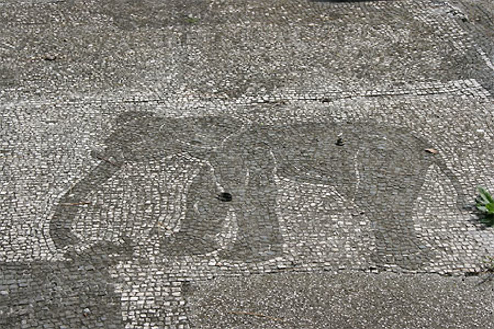Eléphant