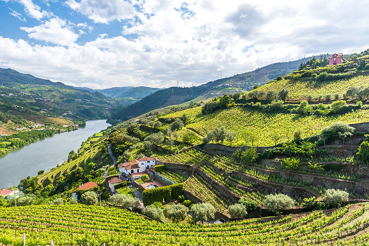 Porto et Douro : des vins qui vieillissent depuis des siècles