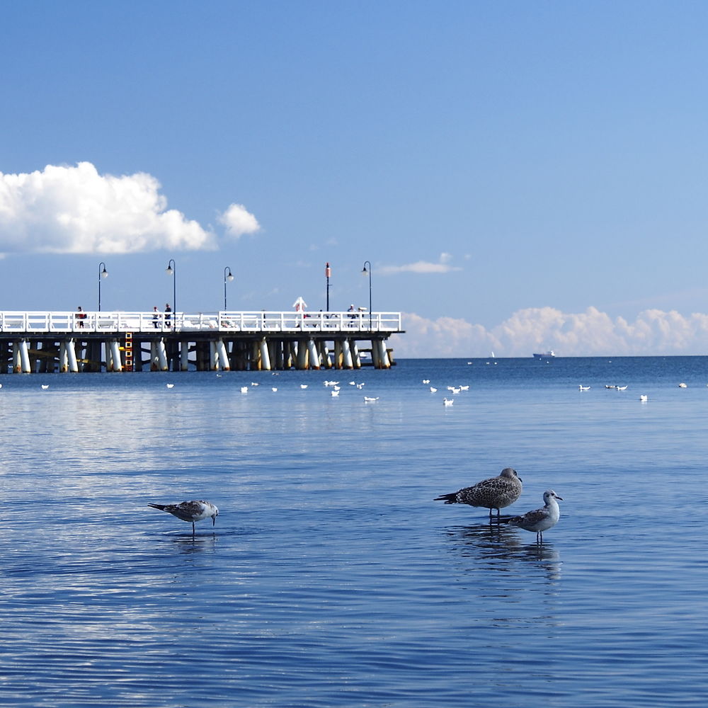 Molo à Sopot