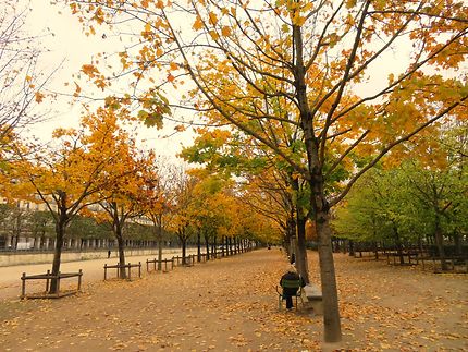 Paris en automne 