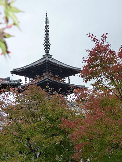 Automne sur Horyuji Nara Automne sur Horyuji Nara