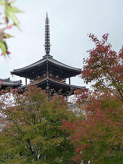 Automne sur Horyuji Nara