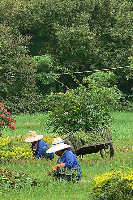 Jardiniers dans le parc des sources chaudes