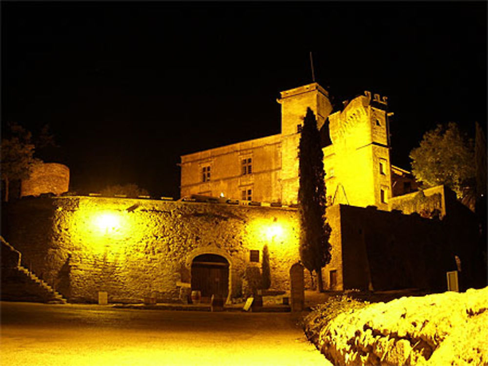 Château de Lourmarin dans la nuit