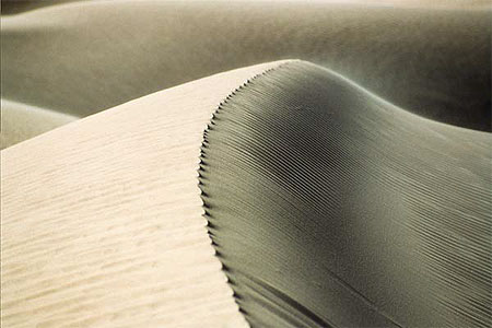 Dune Dune