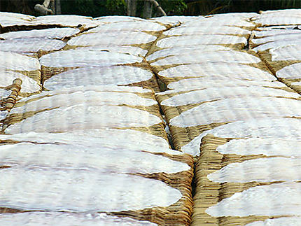 Séchage des Galettes de riz à Can Tho