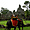 Ballade en éléphant à Angkor Thom