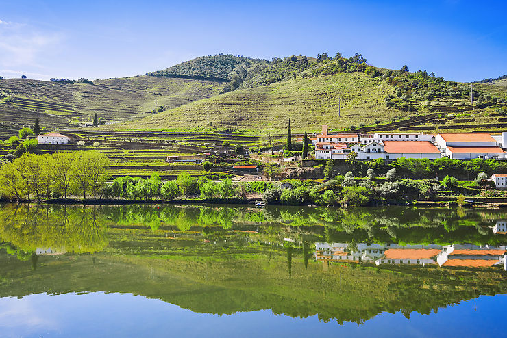 Visite de la vallée du Haut-Douro : remonter aux sources du porto