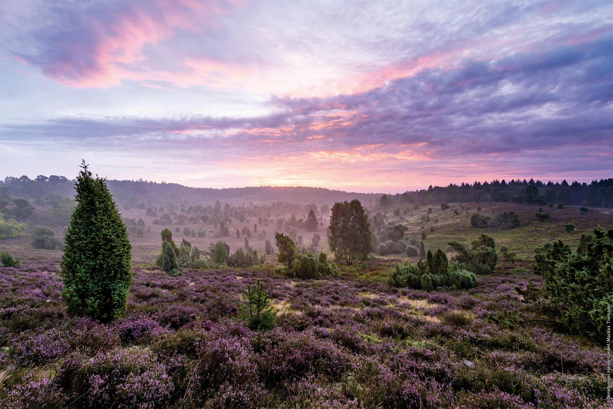 Découvrez les plus beaux panoramas dAllemagne - Routard.com