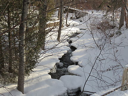 Le ruisseau à Métis