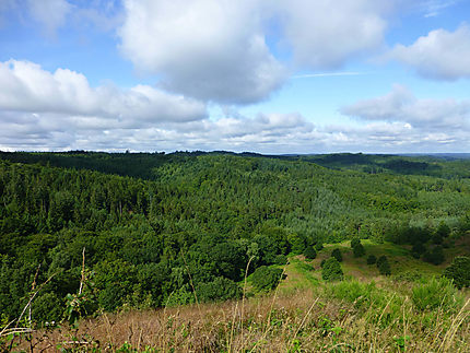 Forêt danoise