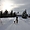 Chiens de traineau en Laponie