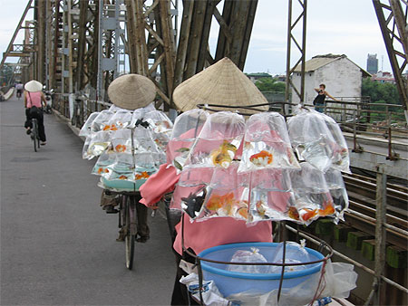 Hanoi "poissons" Hanoi "poissons"