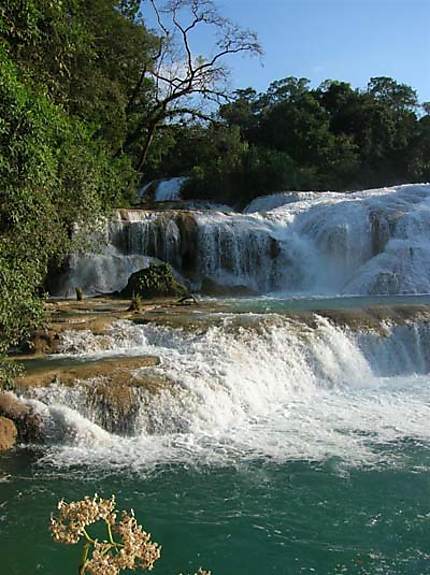 Cascade au Mexique