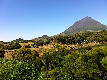 Pico Açores