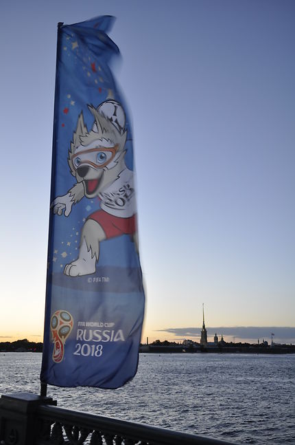 Saint-Pétersbourg coupe du monde 