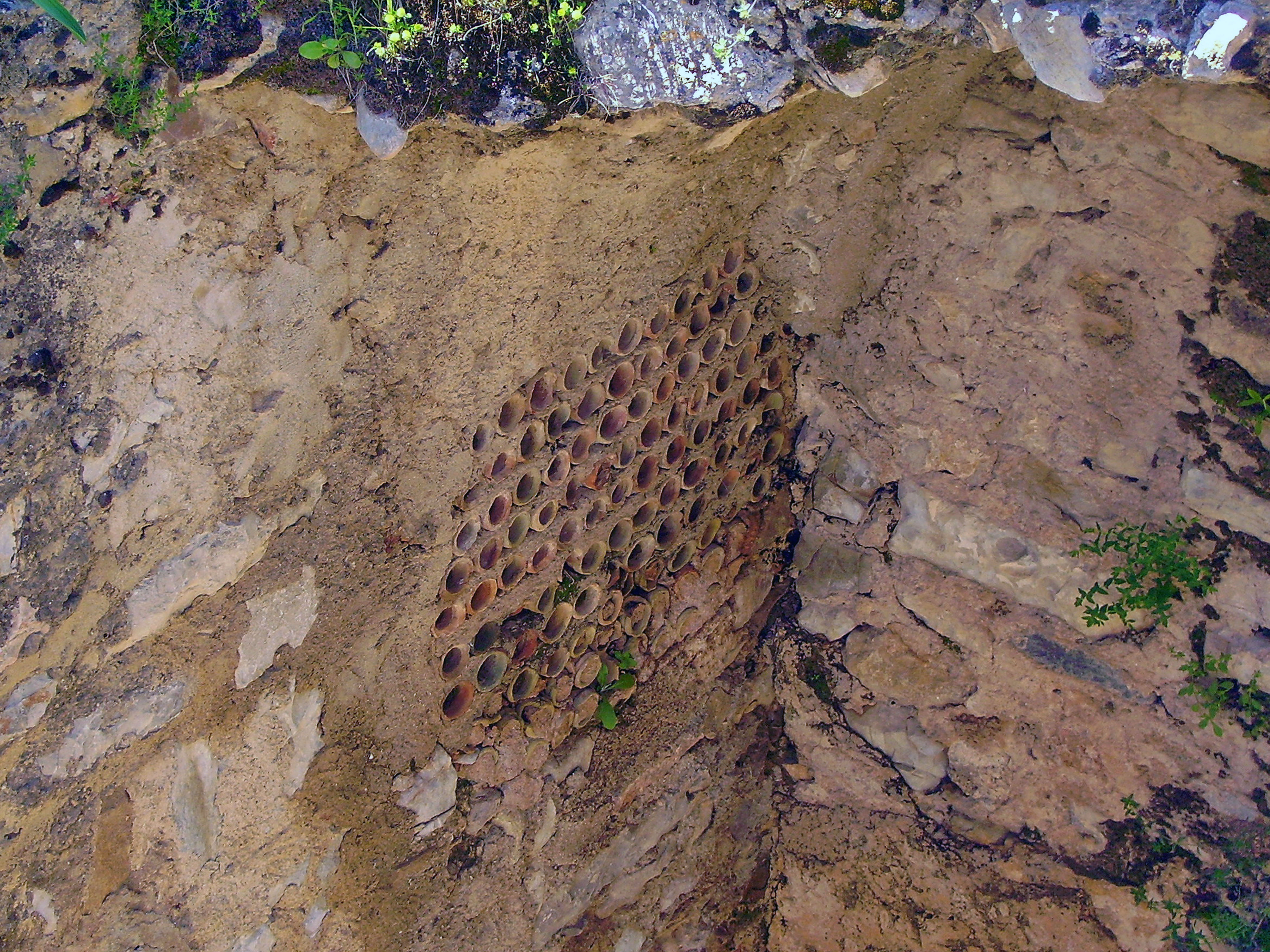 Tubuli de caldarium thermal