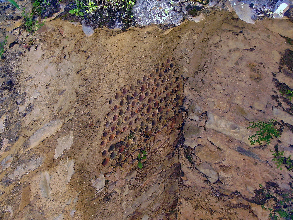 Tubuli de caldarium thermal