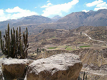Pierre taillée pré-Inca représentant des terrasses - Cañon de Colca