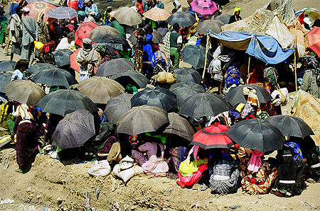 Parapluies au marché