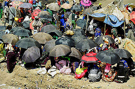 Parapluies au marché