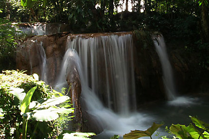 Filet d'eau aux cascades d'Agua Azul