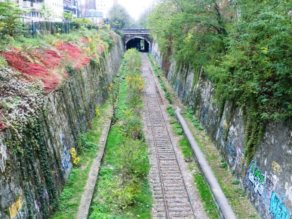 Ancienne voie ferroviaire (petite ceinture)