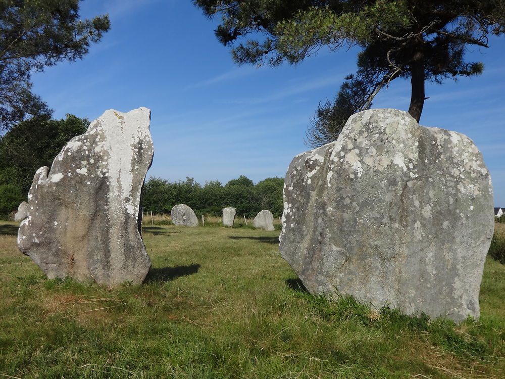 Détail du cromlech de Crucuno