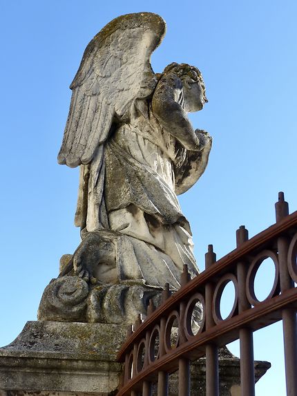 Un ange proche de la Cathédrale 
