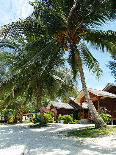 Bungalows Bungalows