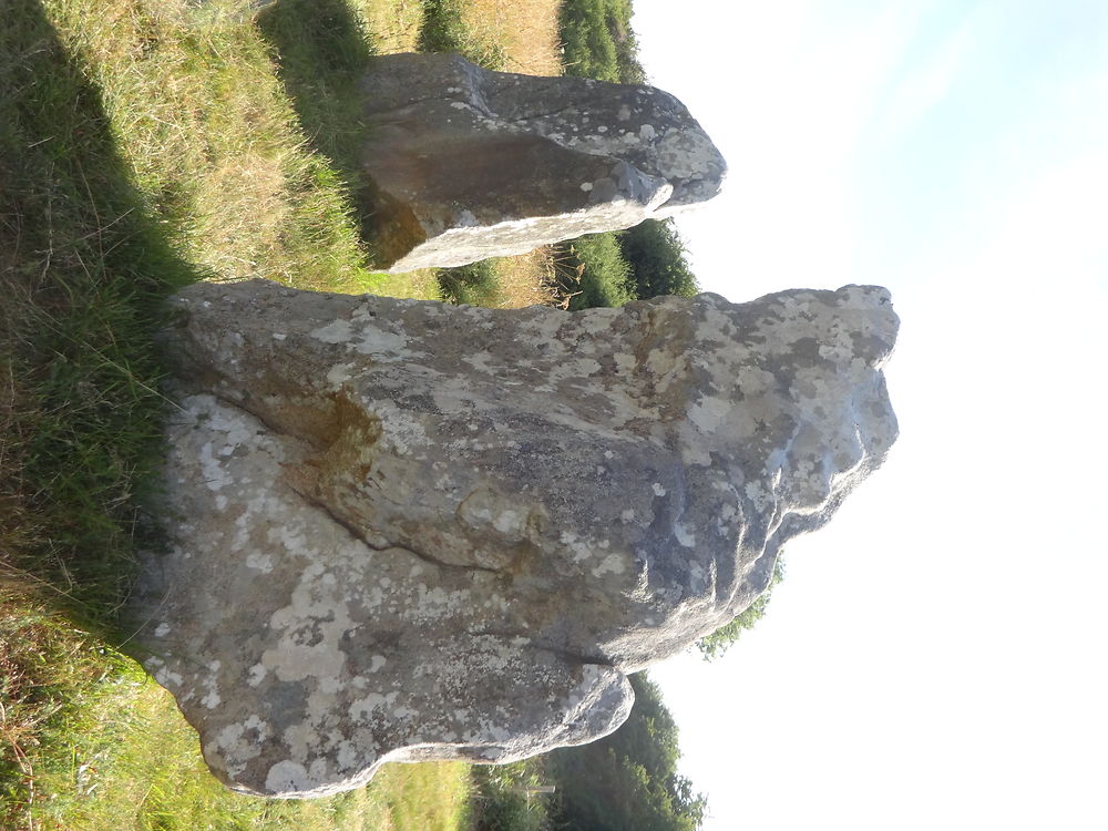 Détail du cromlech de Crucuno