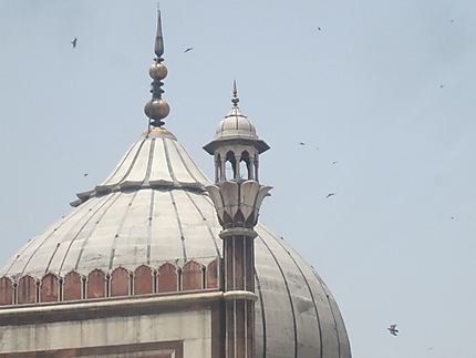 Domes de la mosquée