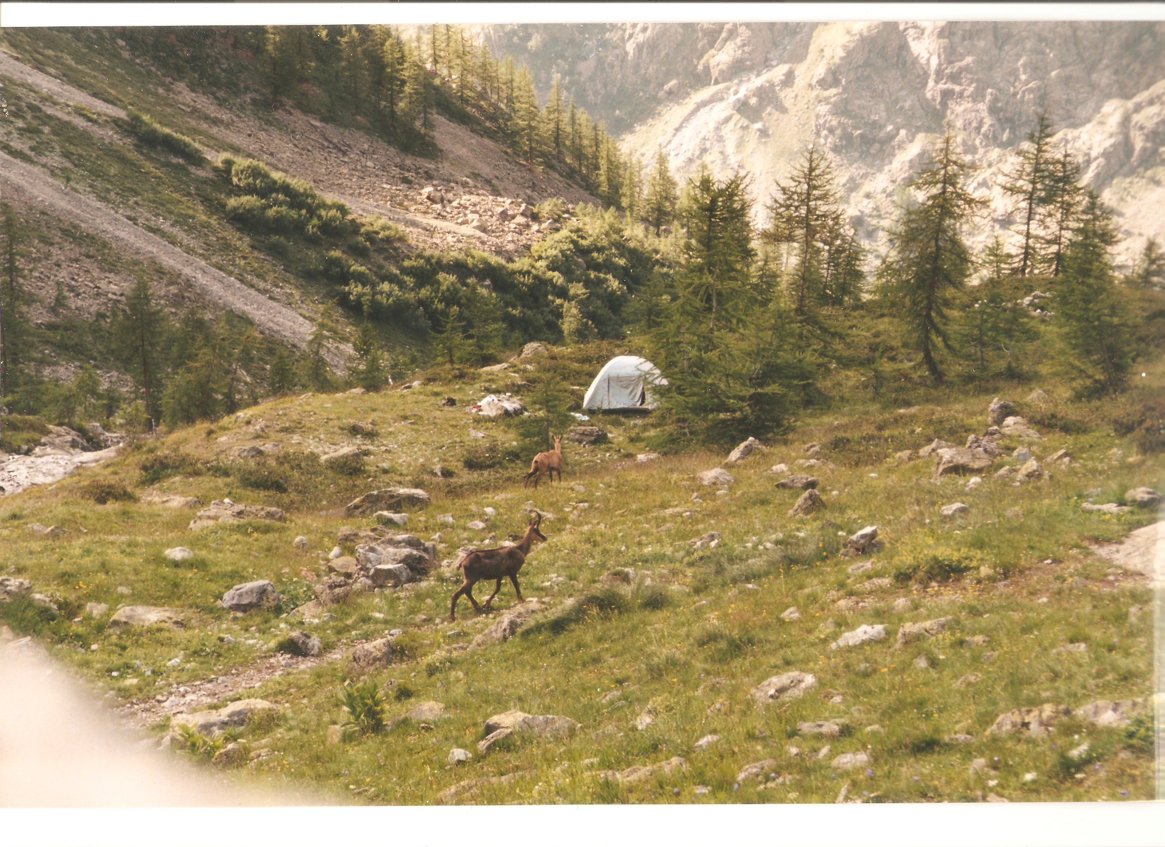 Vallon de Clapouse Vallon de Clapouse