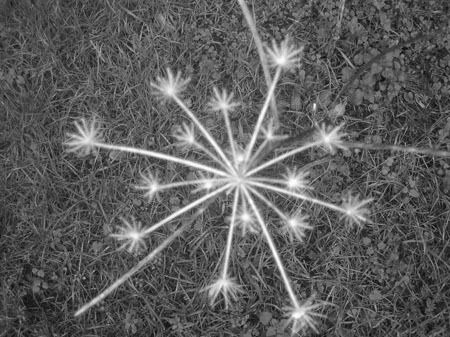feux d'artifice naturels feux d'artifice naturels
