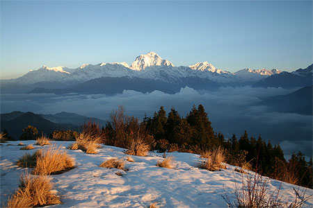 Poon Hill Poon Hill