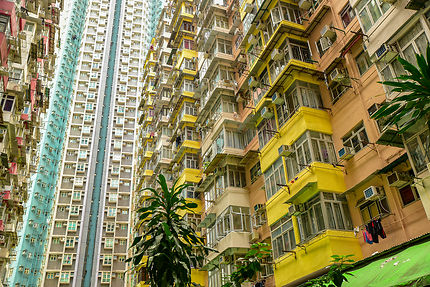 Habitat de Hong Kong