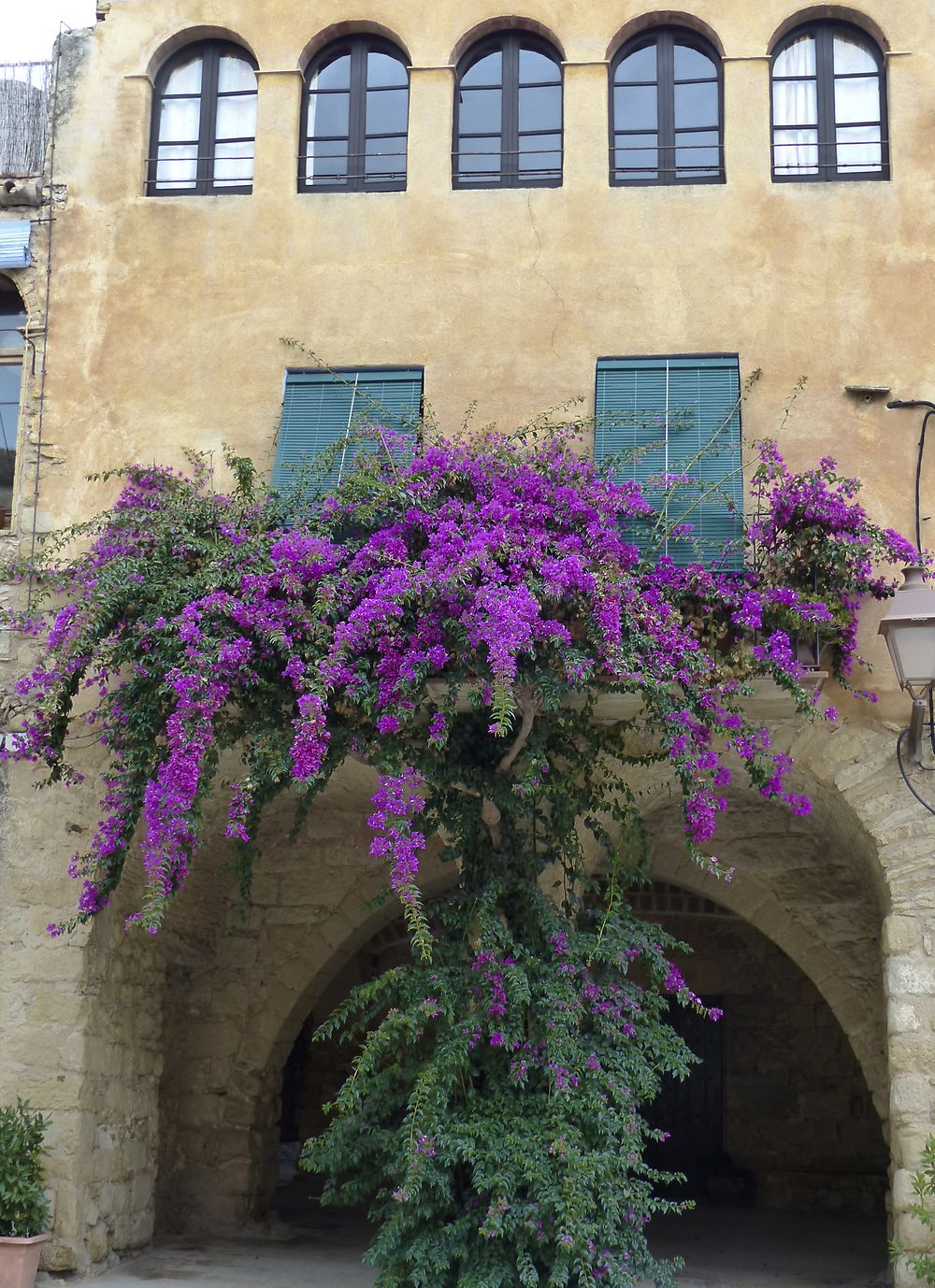 Village médiéval fleuri