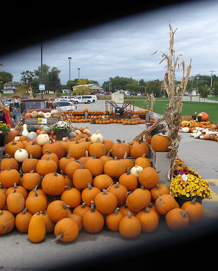 On prépare Halloween dans le Montana