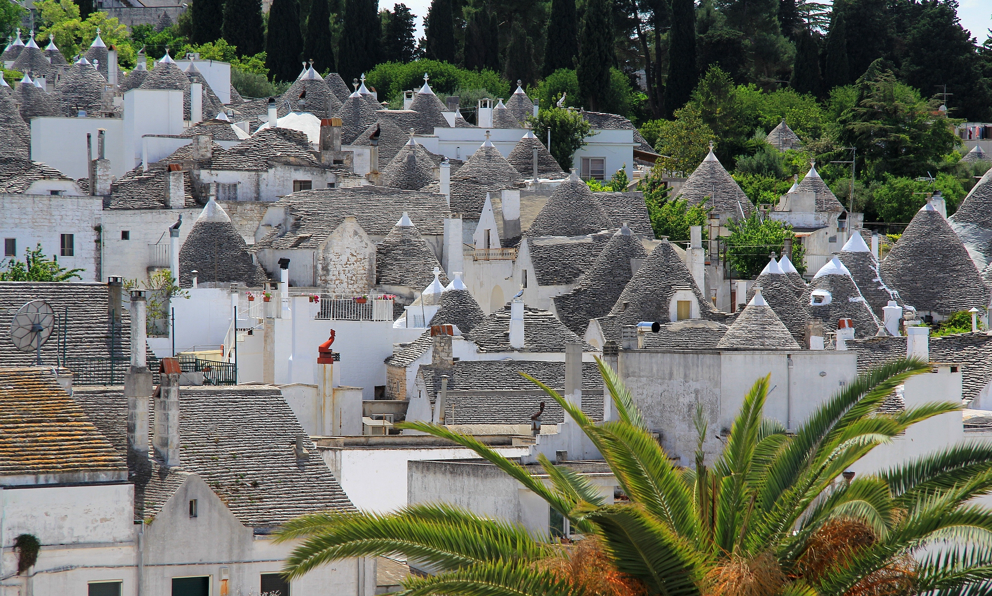 La ville des "Trulli" La ville des "Trulli"