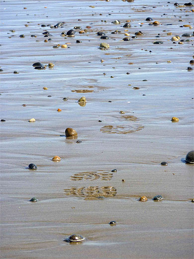Marée basse Marée basse